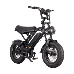 V20 Mini 250W 36V 16-Inch Chất Béo Lốp Điện Lai Xe Đạp Khung Thép 13Ah Lithium Pin Thời Trang Off-Road Ebike Trong EU Tiêu Chuẩn - Product Image 4