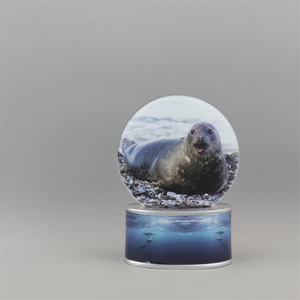 Miễn Phí Thiết Kế Tùy Chỉnh DIY Rỗng Quả Cầu Tuyết 80Mm Sư Tử Biển Thủy Tinh Nước Globe + Ánh Sáng Mic - Product Image 3