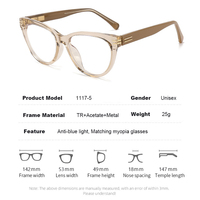 Montures optiques œil-de-chat de haute qualité unisexe, lunettes anti-lumière bleue, montures de lunettes en TR90 avec branches à ressort métalliques, vente en gros