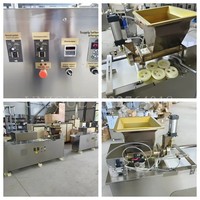 Machine à couper la pâte électrique en acier inoxydable, à vitesse réglable, grande capacité 200g, pour la fabrication de boules de pâte à pain et à biscuits