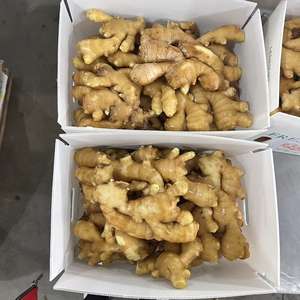 متوفر في المخزون من الصين للبيع بأسعار جيدة شراء بالخضار - Product Image 6