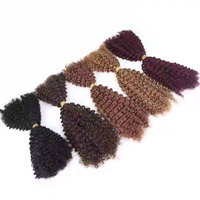 Cheveux Humains Volumineux Frisés Afro Crépus 4B 4C pour Tresses Sans Trame, Cheveux Remy Double Étirés en Vrac, Cheveux Afro Crépus pour Crochet, Tressage Bohème