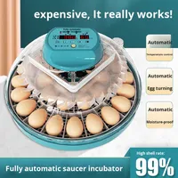 Incubateur domestique intelligent entièrement automatique, taux d'éclosion de 99 %, double alimentation pour œufs d'oie, de pigeon, de perroquet et de poulet