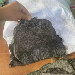 Feuilles de varech <span class=keywords><strong>Nori</strong></span> séchées hachées extra-épaisses sans sable Xiapu Woody, emballage sac de 250g - Product Image 3