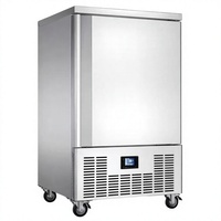 Congelador de Impacto Comercial de 10 Bandejas y 10 Estantes, Enfriamiento Rápido, Una Sola Temperatura, R404A, Máquina de Congelación Rápida 300L