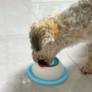 Mangeoire interactive anti-fuite et anti-débordement pour chiens et chats – Tapis de léchage en plastique pour animaux de compagnie avec fonction de nettoyage et bol rotatif - Product Image 6