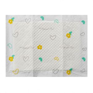 Tapis d'apprentissage pour chiots, absorbants, pour l'entraînement à la propreté des chiens et des chats, pour usage intérieur - Product Image 6