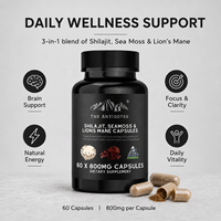 Compléments de Shilajit de l'Himalaya Premium – Capsules Énergie et Immunité Très Demandées pour Adultes – Suppléments à Base de Plantes (Mousse de Mer, Crinière de Lion)