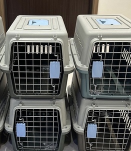 Personalizzato solido modello di plastica Air Box per piccoli animali domestici stile moderno gatto cane gabbia con pulsante di chiusura per i viaggi all'aperto in auto - Product Image 1