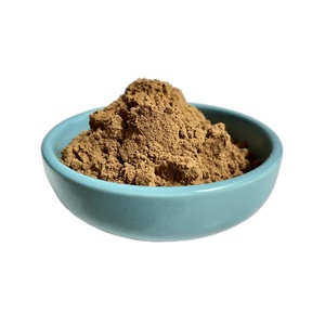 Estratto Concentrato di Nostoc Commune in Polvere 20:1 - Product Image 5