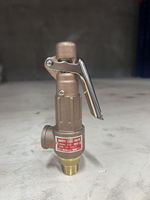 TMOK DN25 1 "HVAC Soupape de sécurité MF BSP Soupape de sécurité à levier PSV pour échangeurs de chaleur