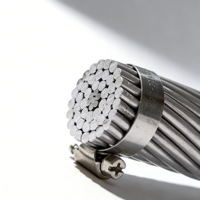 Câble ACSR, câble en acier gainé d'aluminium, câble Almelec, câble d'alimentation aérien, conducteur nu, basse tension, approvisionnement direct d'usine