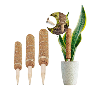 Poteau de soutien pour plantes en fibre de coco 100% naturelle, écologique, rétient l'humidité, pour fleurs et plantes vertes - Product Image 4