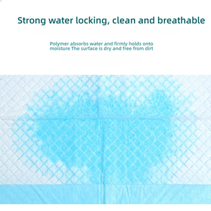 Tappetini Igienici Monouso Ispessiti Deodoranti All'Ingrosso per Cani e Gatti, Carta Assorbente per Urina di Cuccioli, Traversine per Animali Domestici Più Vendute - Product Image 4