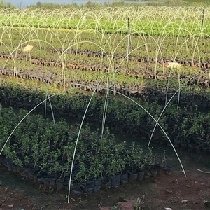 Vegetable Flower Greenhouse <b>Garden</b> Agricultural Arch Support <b>Pole</b> Fiberglass Elastic Rod - Product Image 3