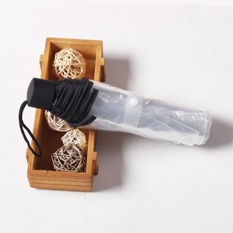 transparente con ribete negro