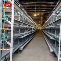 Nouveau poulailler automatique complet de type H/A, écologique, durable, à prix compétitif, avec grand moteur, en acier Q235 de haute qualité