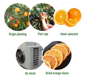 Fette di frutta all'<span class=keywords><strong>arancia</strong></span> secca di alta qualità tè alla frutta sana <span class=keywords><strong>arancia</strong></span> affettata <span class=keywords><strong>essiccata</strong></span> - Product Image 5