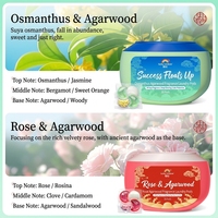 Luckyrainbow – Capsules de lessive écologiques jetables 6-en-1 pour vêtements, parfum Rose & Osmanthus, 10x concentré
