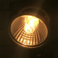Lampe pour reptiles 25/50/75W UVA+UVB 3.0, lampe chauffante pour animaux de compagnie, ampoules UV pour tortues, lampe solaire pour amphibiens, éclairage de conservation de la chaleur