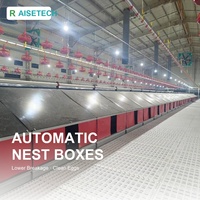 Nuevo Equipo para Cría de Aves de Corral en Suelo, Sistema Automático de Alimentación y Agua para Gallinas Ponedoras en Libre, Nido, Comedero Profundo, PP
