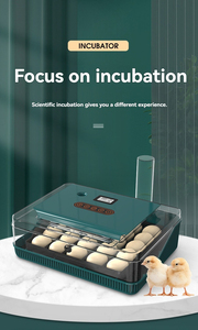 Mini automatique numérique incubateur plateau outils en plastique canard caille plateau équipement <span class=keywords><strong>oeufs</strong></span> <span class=keywords><strong>25</strong></span> oiseau volaille <span class=keywords><strong>oeufs</strong></span> incubateur à couver - Product Image 4