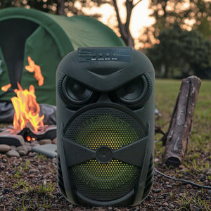 6.5 Inch Portable Bluetooth Karaoke <strong>Speaker</strong> Mic Low-Priced Hi-Fi <strong>System</strong> Soundbar <strong>Mini</strong> Large <strong>DJ</strong> <strong>Speakers</strong> - Product Image 3