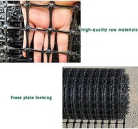 Waterdichte, milieuvriendelijke, UV-bestendige, draagbare, winddichte, opvouwbare PP plastic gaashekwerk met 2mm/3mm gaten, zwart, voor pluimvee en tuin