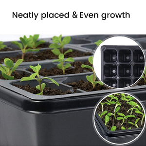 Plateaux à semis durables, plateaux de pépinière pour semis, plantation de légumes, fleurs, plateau à semis à 72 cellules - Product Image 5
