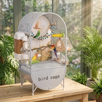 Villa pour oiseaux en acrylique de luxe, grande cage transparente pour perroquets, décorative, pour intérieur, avec structure en fil métallique, motif solide, fermeture à bouton