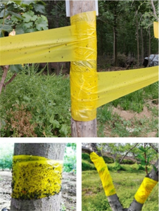 Cinta Adhesiva de Doble Cara para Trampas de Insectos, para Agricultura Orgánica, No Tóxica, Resistente al Agua y a los Rayos UV, Rollo Adhesivo para Insectos para Invernaderos y Huertos - Product Image 5