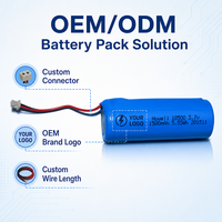 Batterie LiFePO4 à semi-conducteurs HWE 3.7V 1500mAh 18650 avec CE/RoHS/UN38.3/MSDS pour serrure de porte intelligente, éclairage solaire de jardin, lampe de poche