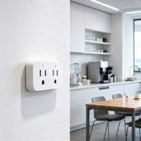 Stop Kontak Dinding Pintar Anti Api WiFi 2.4GHz US Dual 16A Tuya Remote 1800W Pemantau Daya Jadwal Alexa Google Hotel