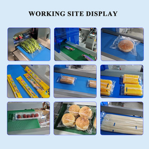 Macchina Automatica per l'Imballaggio di Cuscini con Corpo in Acciaio Inossidabile, Pulita e Igienica per l'Industria Alimentare e del Packaging - Product Image 2
