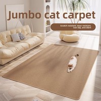 Tapis anti-griffures pour chat et tapis de nidification, résistant aux griffures, antidérapant, ne laisse pas de miettes, toutes saisons