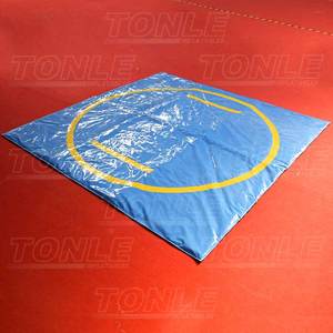 Combinaisons de lutte de <span class=keywords><strong>sumo</strong></span> personnalisées pour enfants et adultes avec tapis de lutte de <span class=keywords><strong>sumo</strong></span> pour la vente Lutteur de <span class=keywords><strong>sumo</strong></span> - Product Image 5