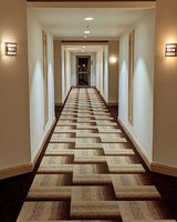 Hotel-Lobby + Empfangsbereich + Flur Bedruckter Teppich, Wendbar, Waschbar, Rutschfest, Hochflorig, Geometrisches Muster