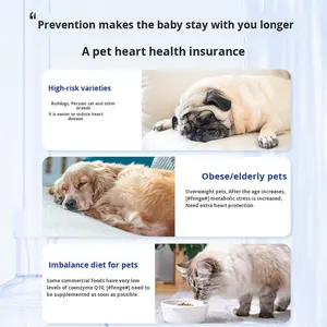 Vente en gros Coenzyme Q10 Capsule Supplément pour animaux de compagnie pour Chien Chat Personnes âgées Coeur d'animal de compagnie Hypertrophie du myocarde Soutien Application aux puces et aux oiseaux - Product Image 6