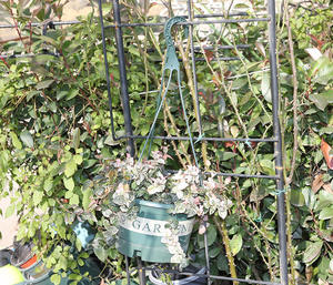 <span class=keywords><strong>Maceta</strong></span> <span class=keywords><strong>colgante</strong></span> <span class=keywords><strong>de</strong></span> <span class=keywords><strong>plástico</strong></span> con forma <span class=keywords><strong>de</strong></span> Orquídea, <span class=keywords><strong>maceta</strong></span> para espesamiento hortícola, suculenta, hierba <span class=keywords><strong>de</strong></span> nabo verde - Product Image 2