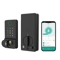 Cylindre de serrure intelligent de haute sécurité sans poignée pour la maison en alliage d'aluminium Cerradura Inteligente Candado Serrure De Porte Cloud Card