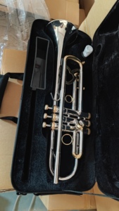 Trompeta Profesional TP-M410GS Lexington con Acabado en Oro y Plata - Product Image 6