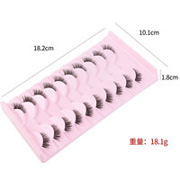 10 paires de faux cils œil de chat style moyen-oriental, bande transparente, effet wispy, longue queue, extension pour le coin extérieur