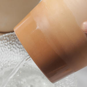 2022 <span class=keywords><strong>Naturix</strong></span> CP168 venta al por mayor macetas de cerámica para jardín doméstico para plantas de interior y exterior - Product Image 4