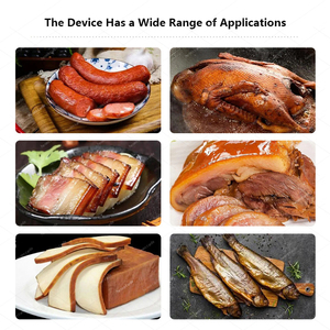 Machine à fumée électrique séchée pour saucisse, haricot, lait caillé, viande, fumoir pour viande et poisson - Product Image 3