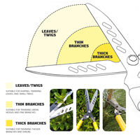 Sécateur extensible de garniture d'arbre avec la cisaille télescopique d'outil de main de coupeur de jardin de longue poignée