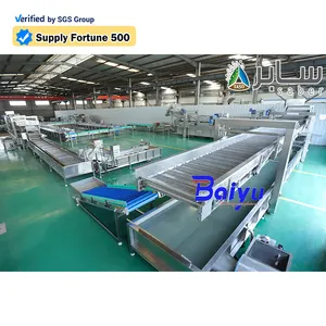 Baiyu Food Quick Cooling Freezing Shaping Machine Freezing Equipment Tunnel Freezer Iqf Frozen Machine