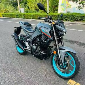 High-Performance 321cc Water-Cooled Four-Stroke DOHC Four-Valve Inline-Twin Engine Sportbike for City and Highway Riding - Product Image 2