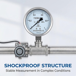 Manomètre en acier inoxydable anti-corrosion, cadran de 100 mm, instrument de mesure du gaz pour le traitement des eaux pétrochimiques - Product Image 4