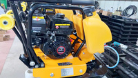 Compacteur de plaques portable à moteur à essence/véhicule diesel vibrant de petite taille pour les travaux de construction