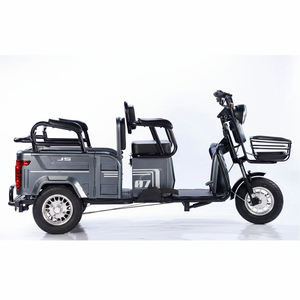 Triciclo Motorizado de Baja Velocidad para Mujer, de Una Velocidad, con 3 Ruedas, Triciclo Económico con Freno de Tambor de 48V y Marco de Acero con Alto Contenido de Carbono - Product Image 1